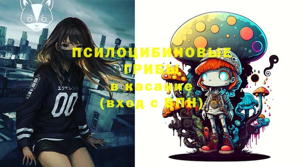 стаф Медвежьегорск
