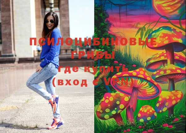 стаф Медвежьегорск