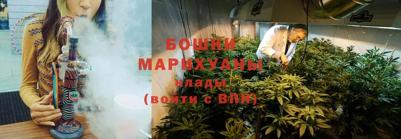 наркота  Завитинск  Канабис Ganja 